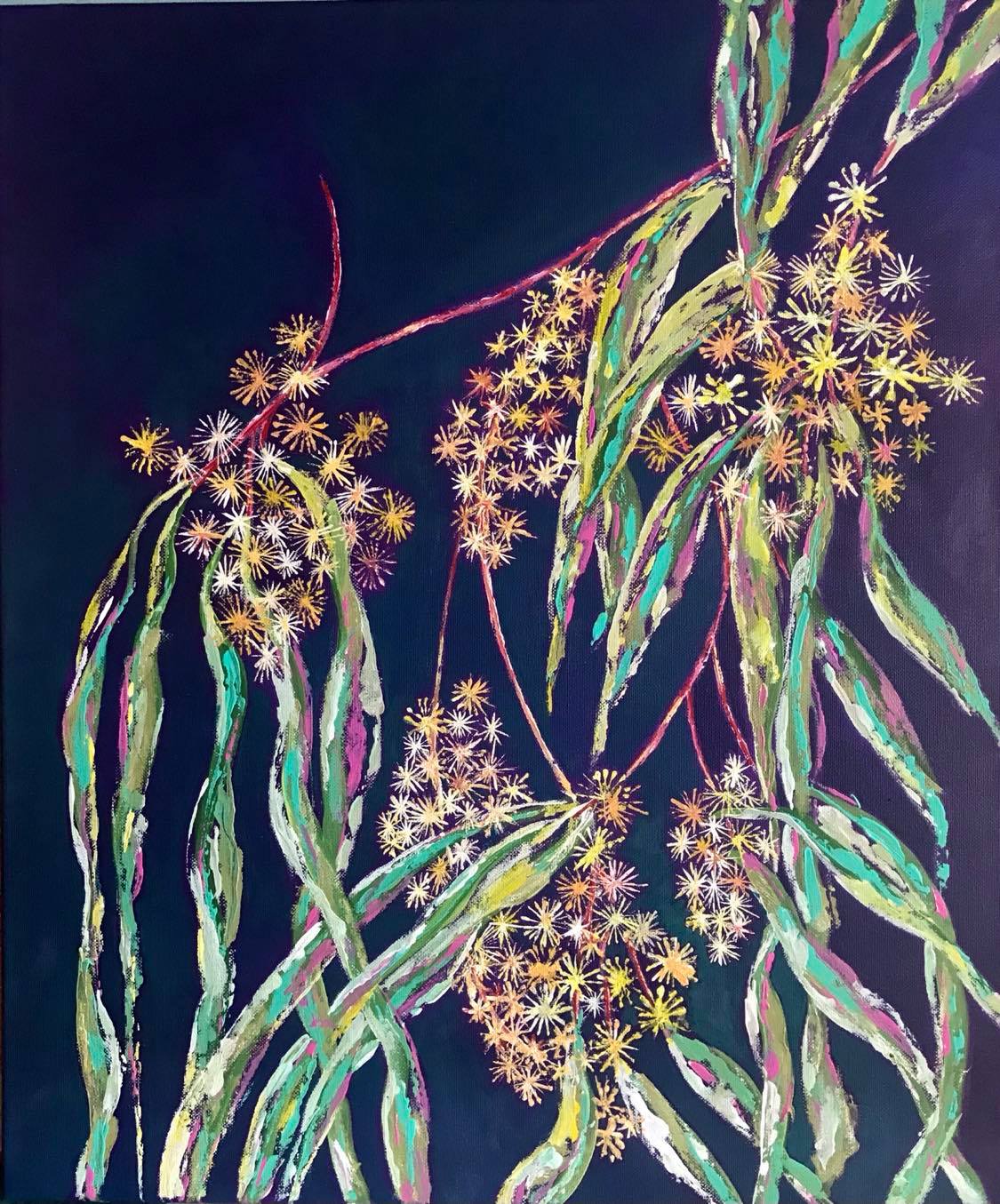 Willow Myrtle