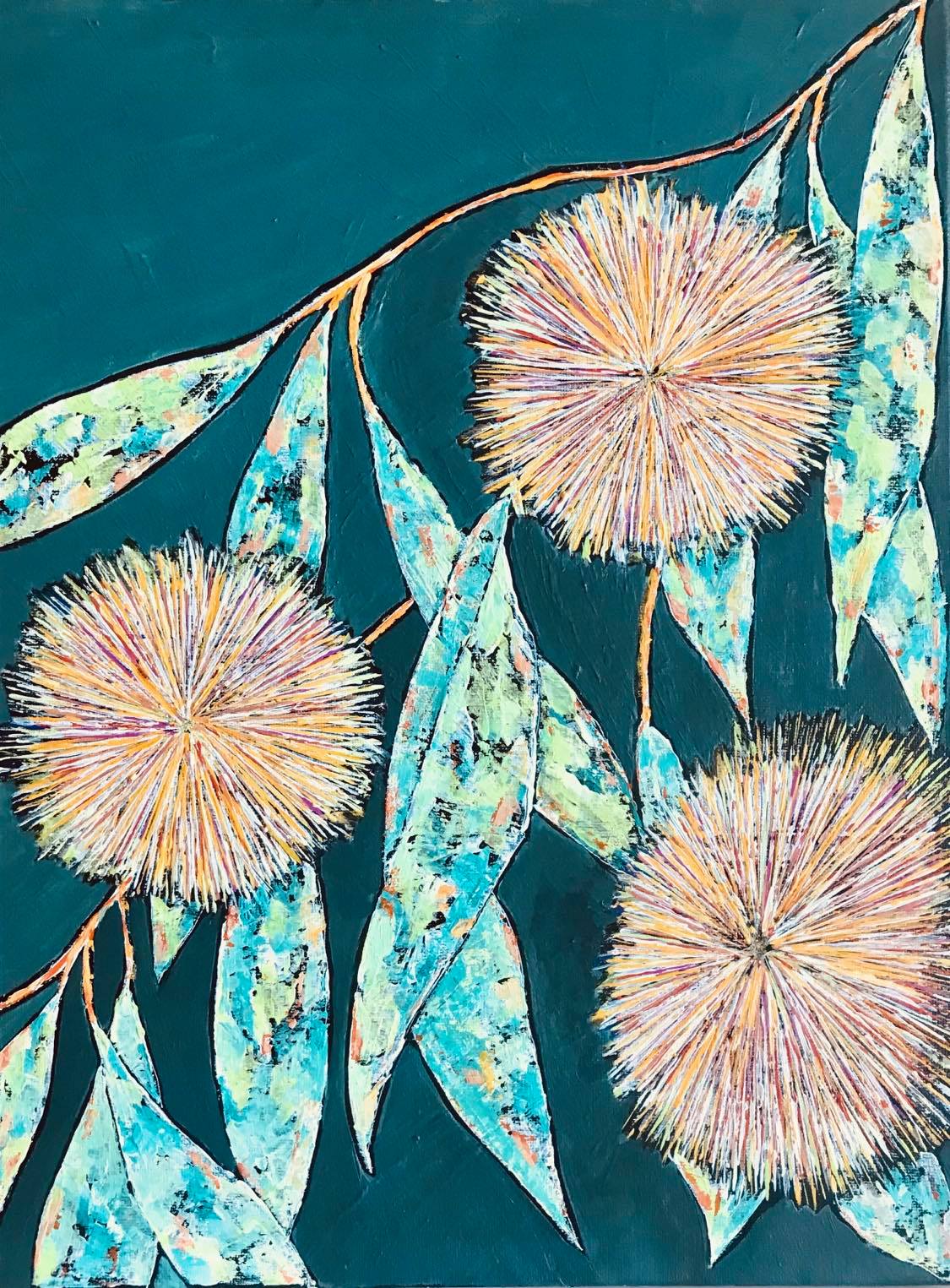 EUCALYPTUS 3