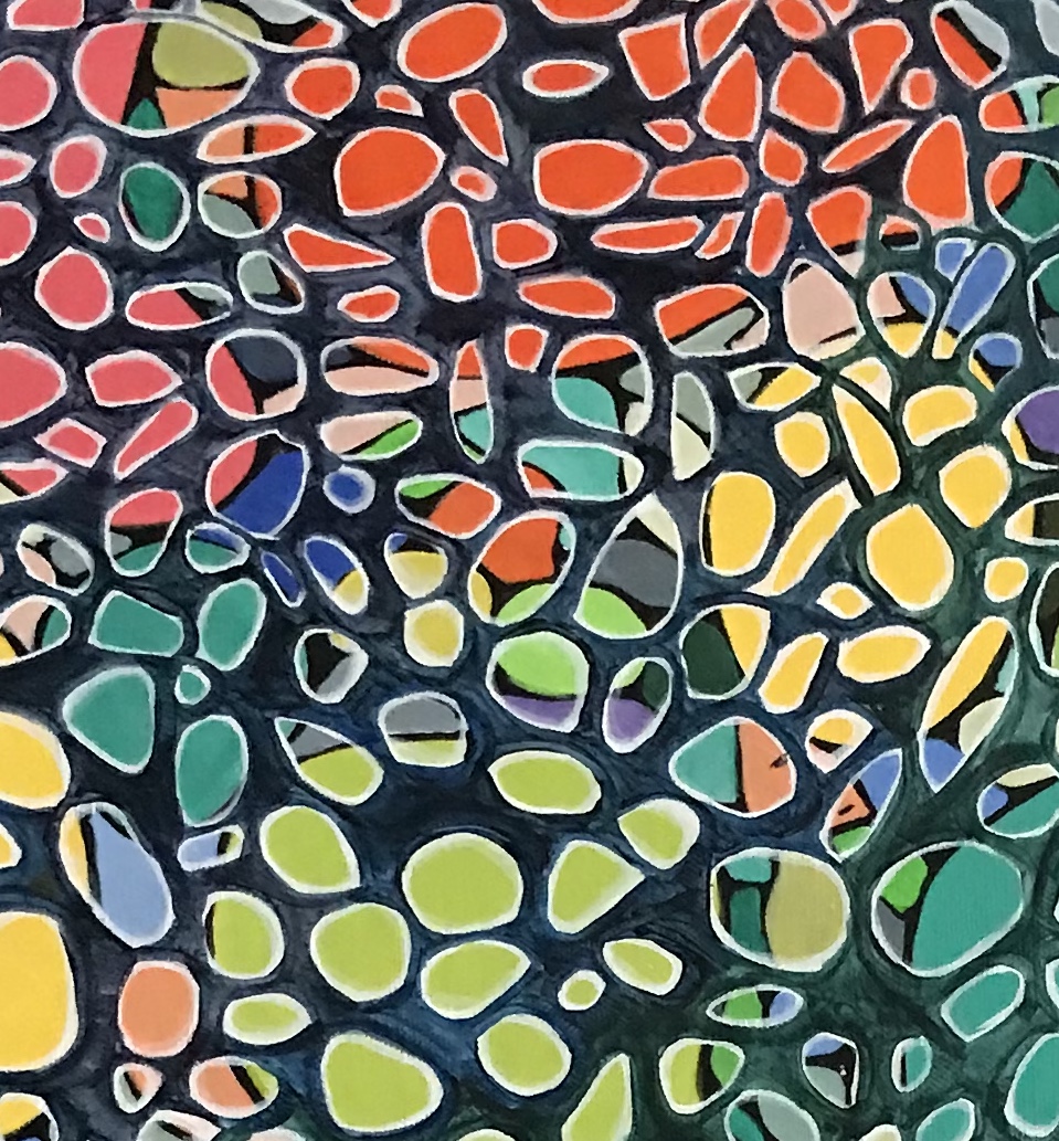 The Pond - Image 3