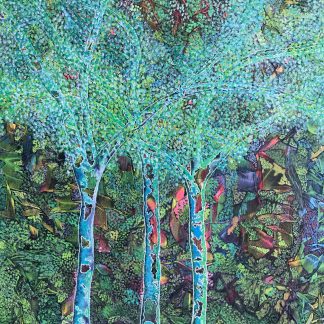 Daintree immersion