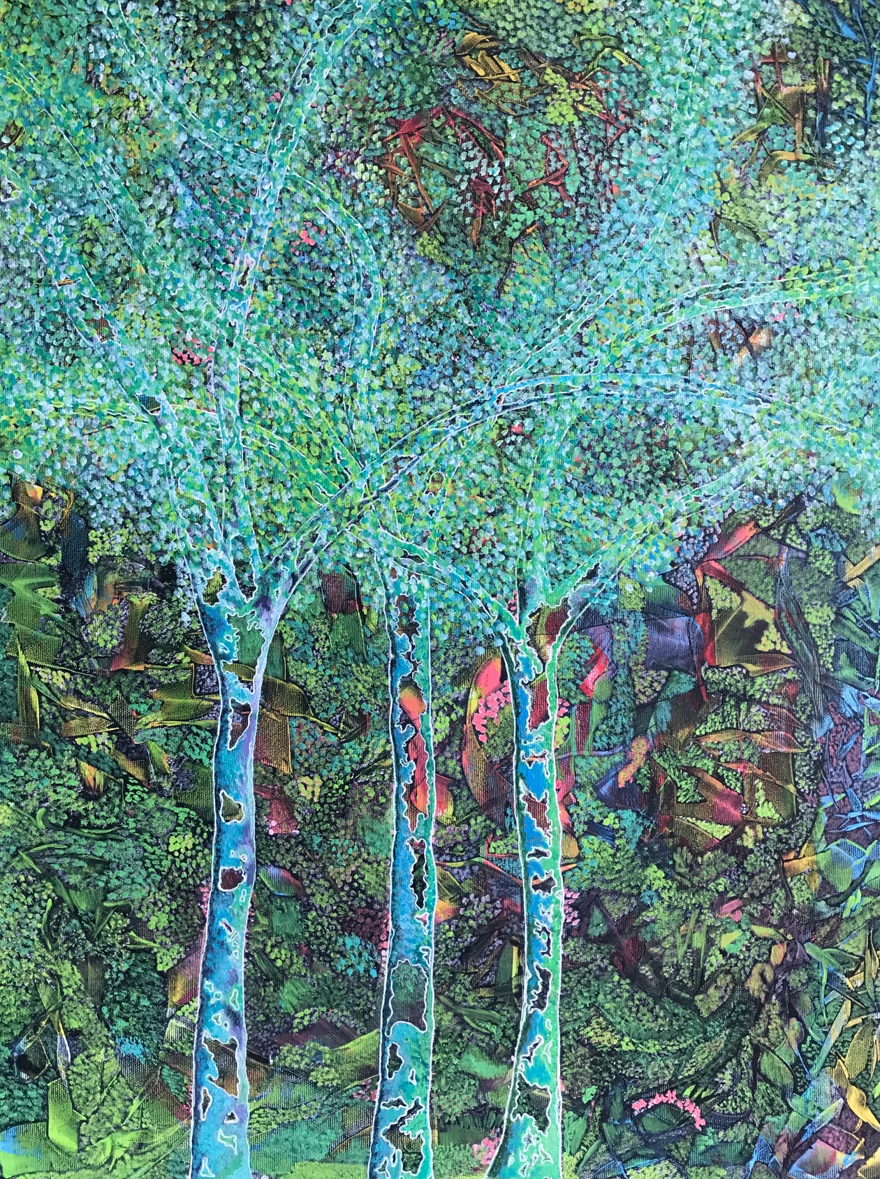 Daintree immersion