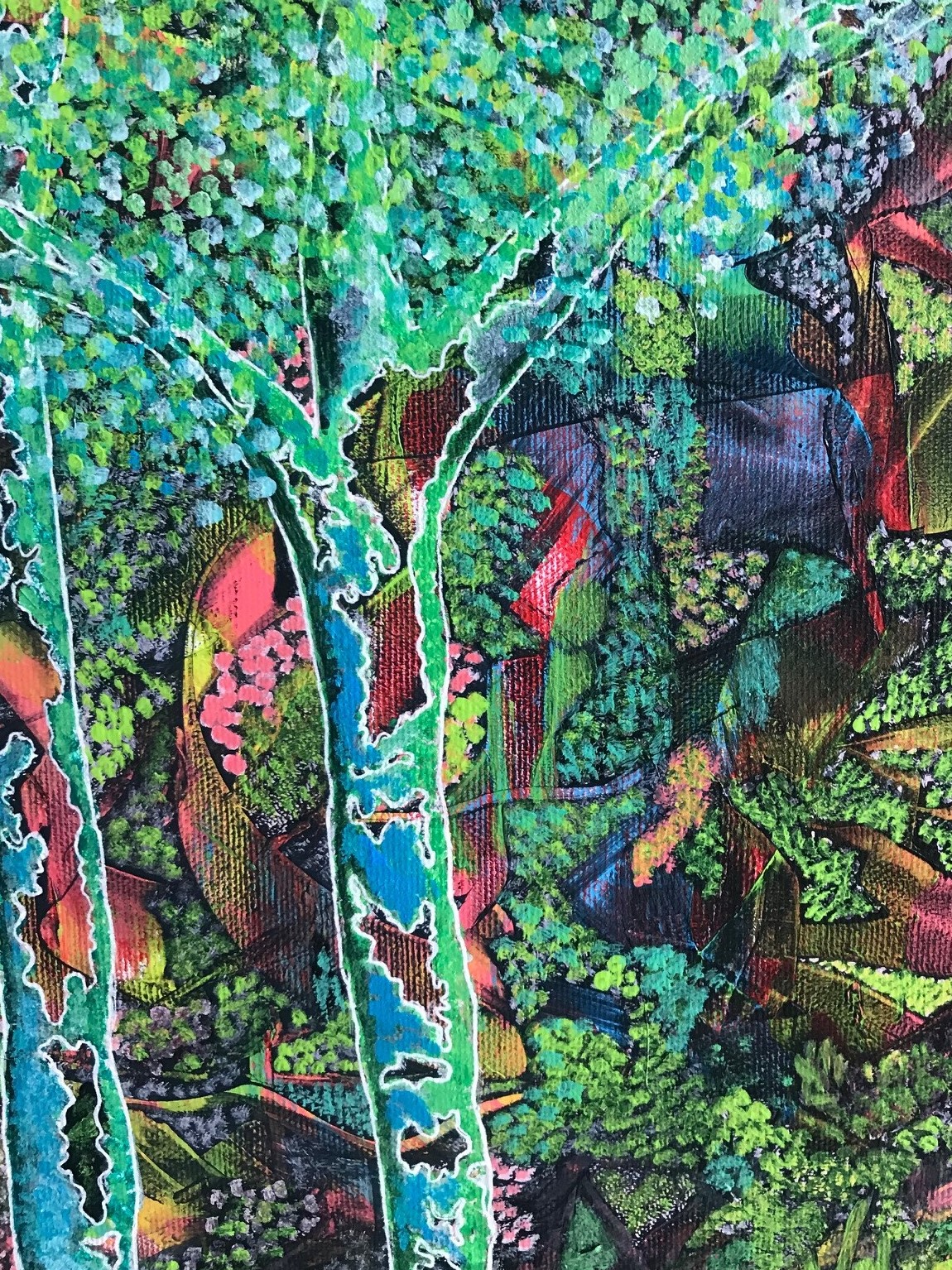 Daintree immersion - Image 3