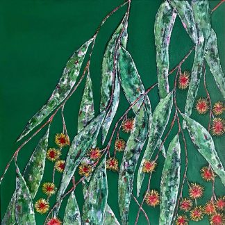 Eucalyptus 1