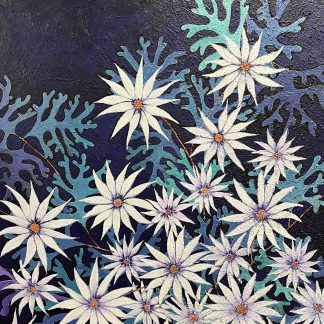 Flannel Flowers - Quiet Bloom
