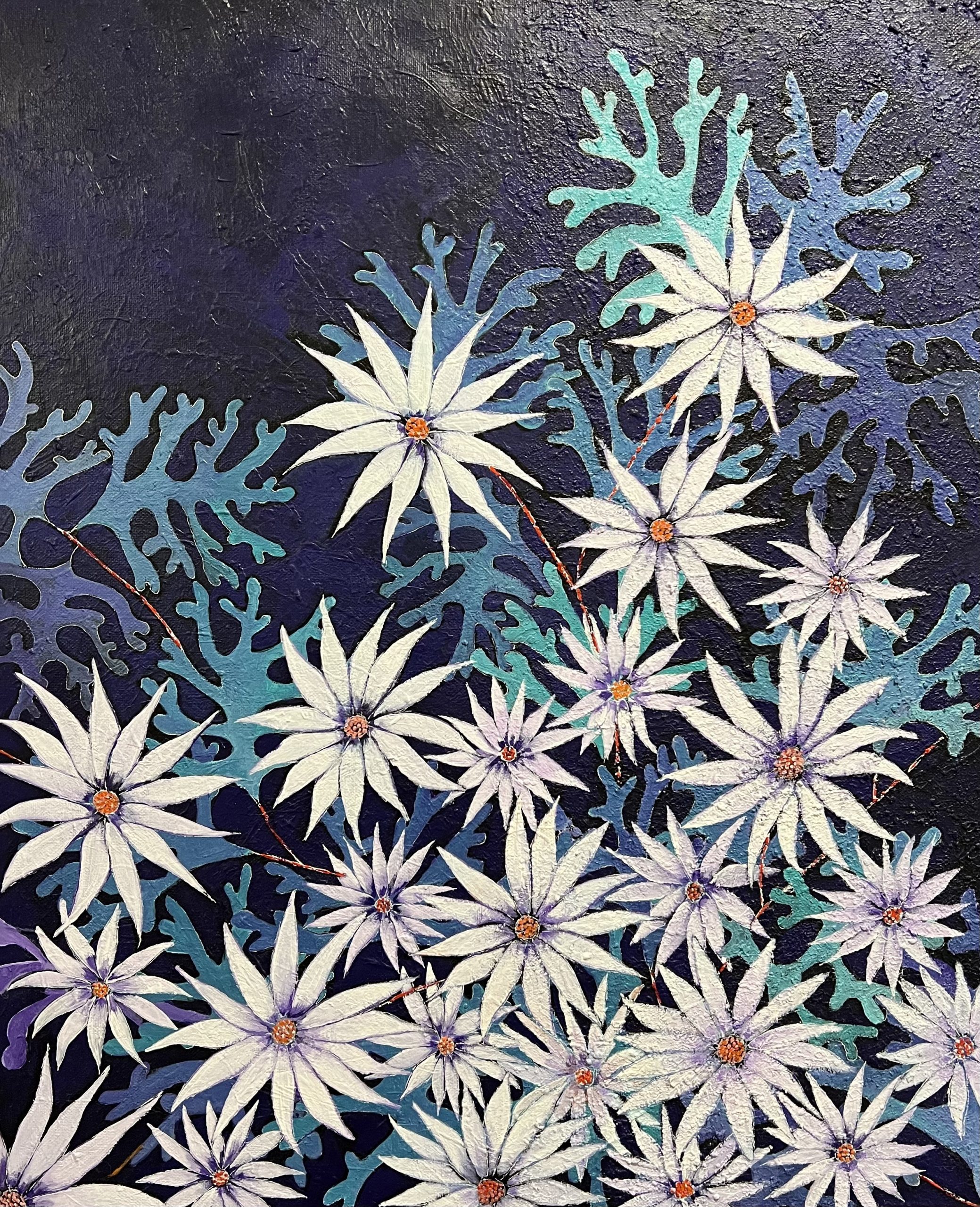 Flannel Flowers - Quiet Bloom